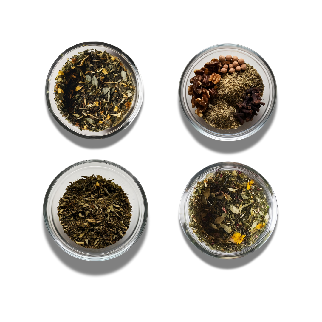 HSV Protocol (Best Seller!)